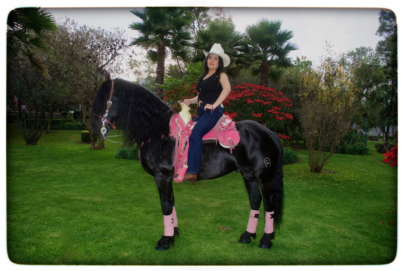 acuexcomatl-sesion-fotos-caballo-xv-ashley-005